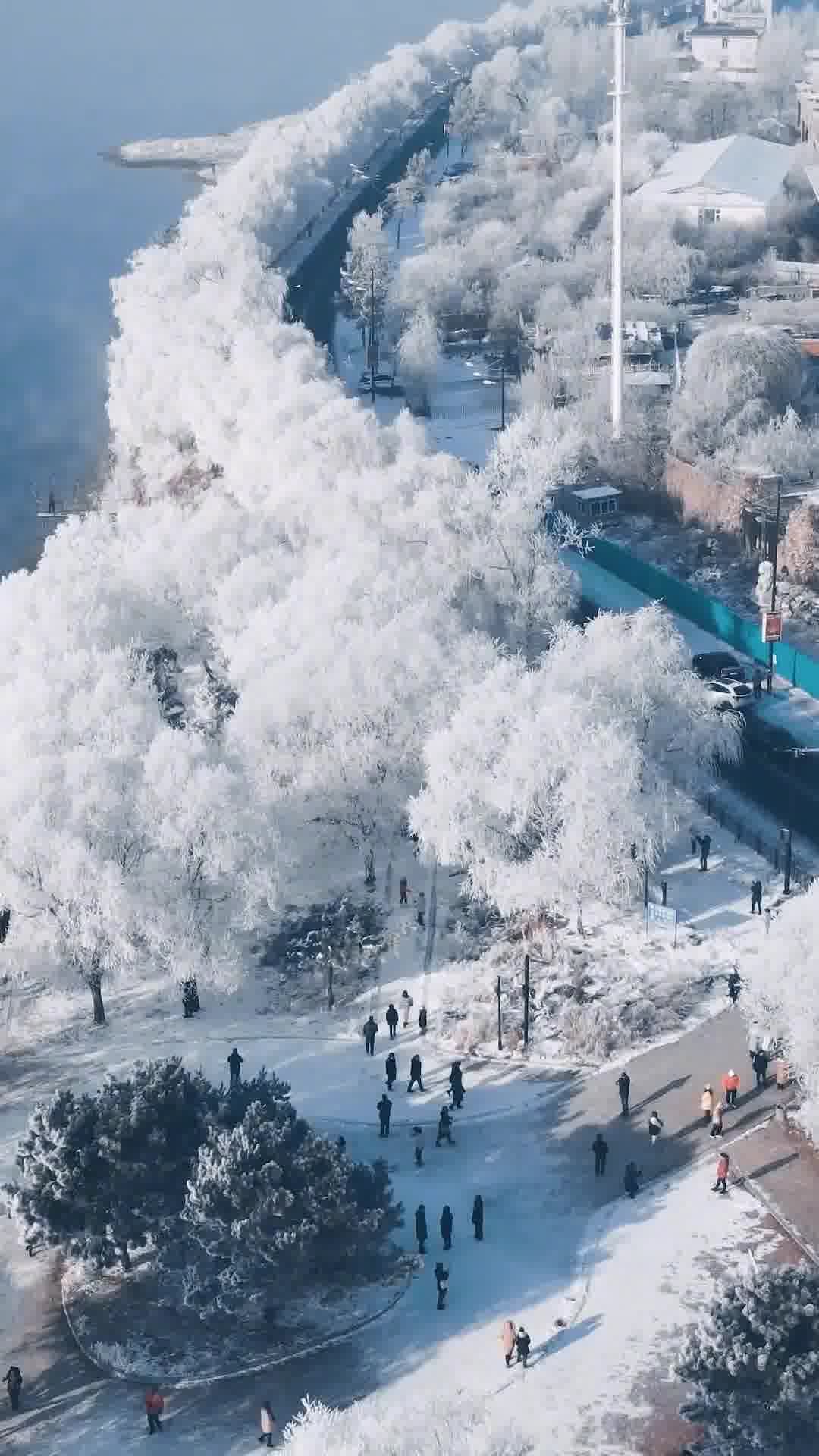 吉林雪韵，破旧伞下的深情独白