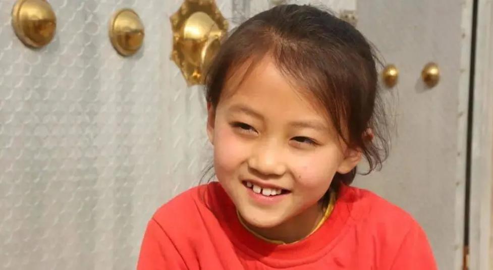 探寻神秘西夏之韵，宁夏魅力之旅揭秘