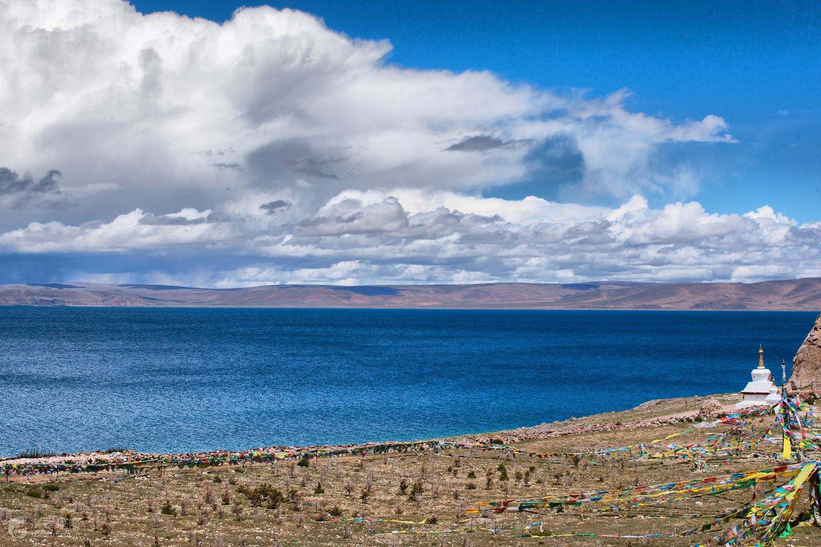 致敬西藏,领导、教师与学子共聚一堂