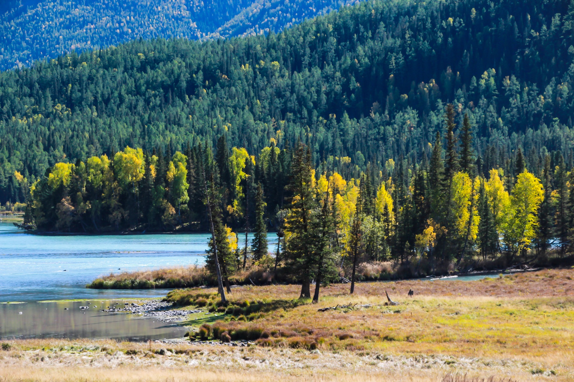 新疆阳光之旅，温暖陪伴的日记篇章