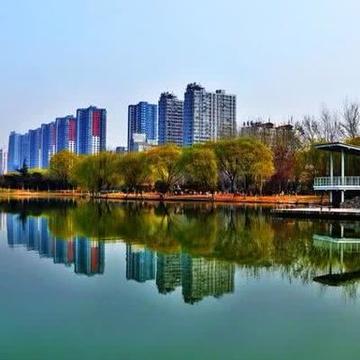 沧州小巷深处,探寻隐藏的秘密小店