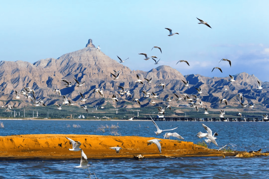 乌海,地理、历史与文化的深度探索